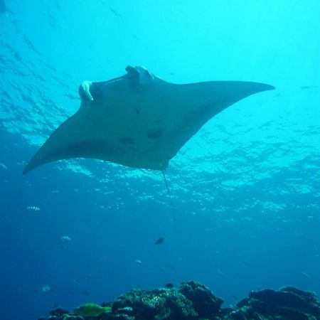 Готель Umi No Nakama Ishigaki  Екстер'єр фото