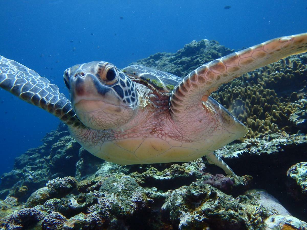 Готель Umi No Nakama Ishigaki  Екстер'єр фото